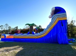 image1201 1741438743 Rip Curl 18ft Dual Lane Water Slide